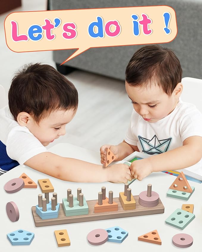 Shape Sorter Wooden Toys for Toddlers